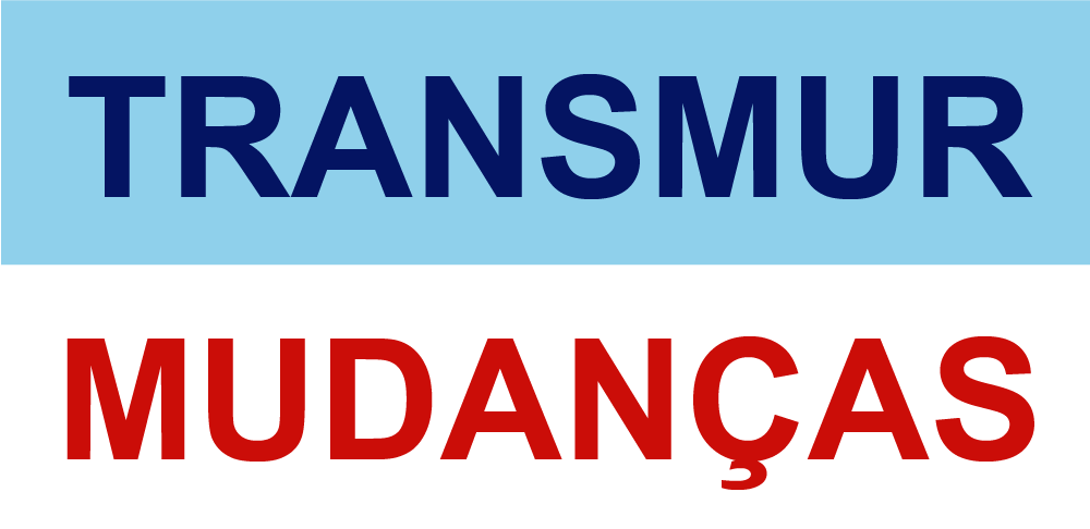 Logo transmur